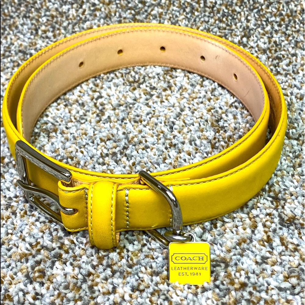 COACH XL Dog collar-Yellow